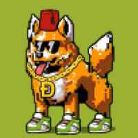 DogePunks #3702
