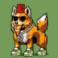 DogePunks #929