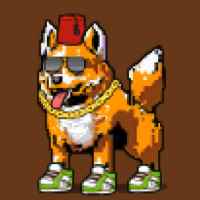 DogePunks #442