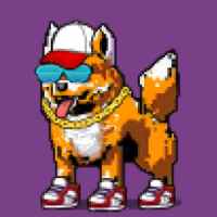 DogePunks #1139