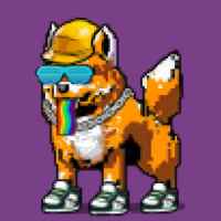 DogePunks #2169