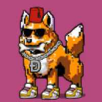 DogePunks #1850