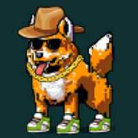 DogePunks #753