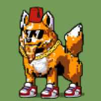 DogePunks #3551