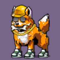 DogePunks #646
