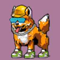 DogePunks #1199