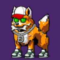 DogePunks #891
