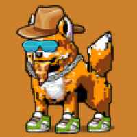 DogePunks #435