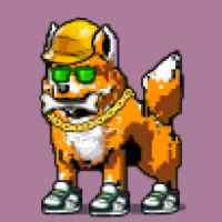 DogePunks #1628