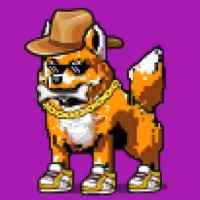DogePunks #187