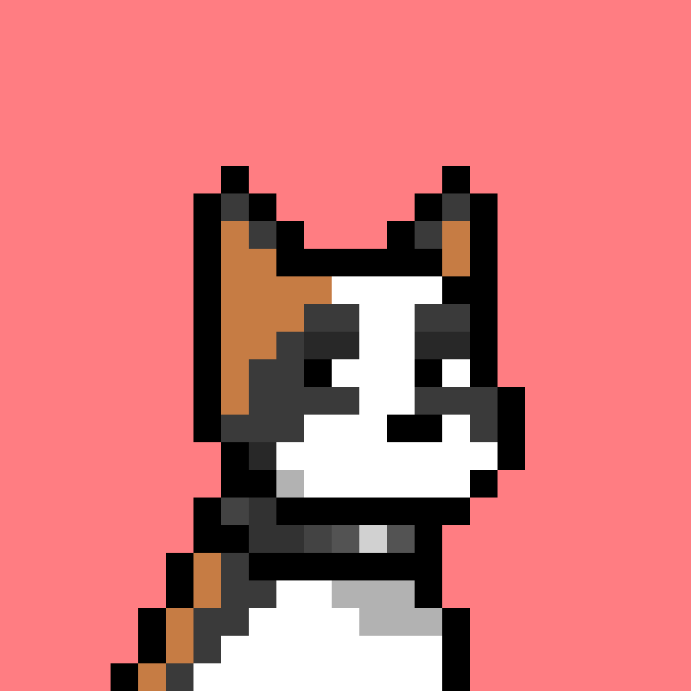 Doginal Dog #4903