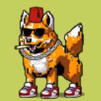 DogePunks #3625