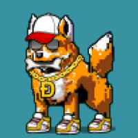 DogePunks #2580