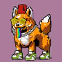 DogePunks #1070