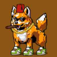 DogePunks #1147