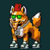DogePunks #601