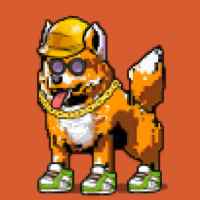DogePunks #4736
