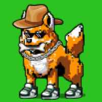 DogePunks #2165