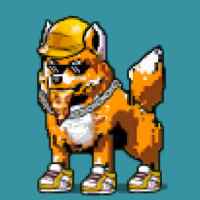 DogePunks #355