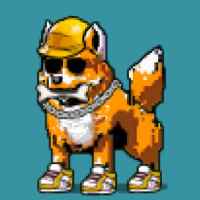 DogePunks #952