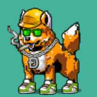 DogePunks #4065