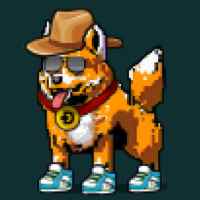 DogePunks #3212