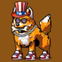 DogePunks #3570