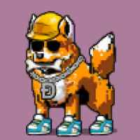 DogePunks #4362