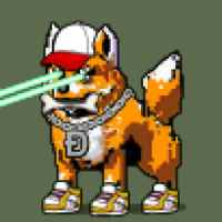 DogePunks #4801