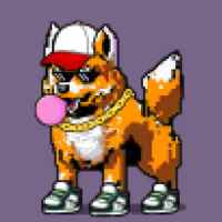 DogePunks #4129