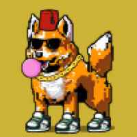 DogePunks #3544
