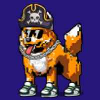 DogePunks #1734