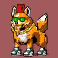 DogePunks #2304