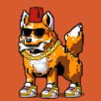 DogePunks #2667