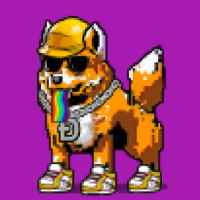 DogePunks #1974