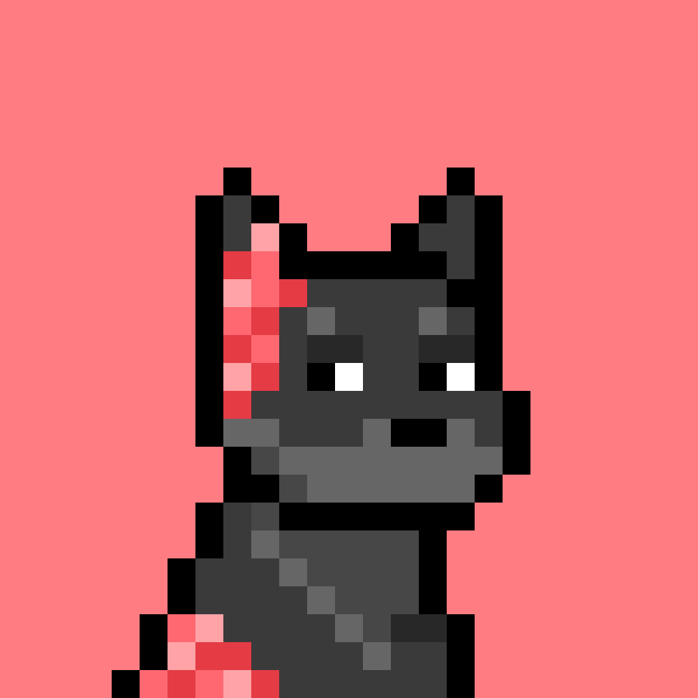 Doginal Dog #8996