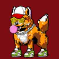 DogePunks #4169
