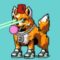DogePunks #2002