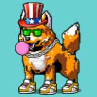 DogePunks #2632