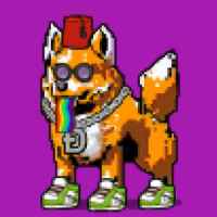 DogePunks #4762