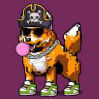 DogePunks #2651