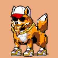 DogePunks #931