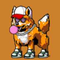 DogePunks #4076
