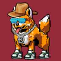 DogePunks #2243