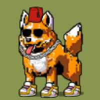 DogePunks #674