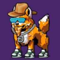 DogePunks #3809