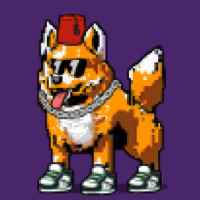 DogePunks #1235