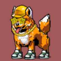 DogePunks #2221