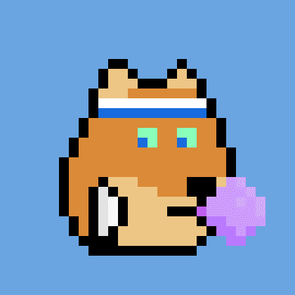 Dogepunk #1301