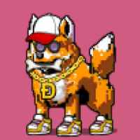 DogePunks #326